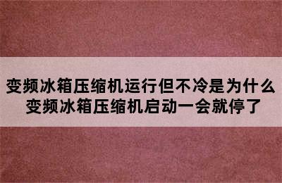 变频冰箱压缩机运行但不冷是为什么 变频冰箱压缩机启动一会就停了